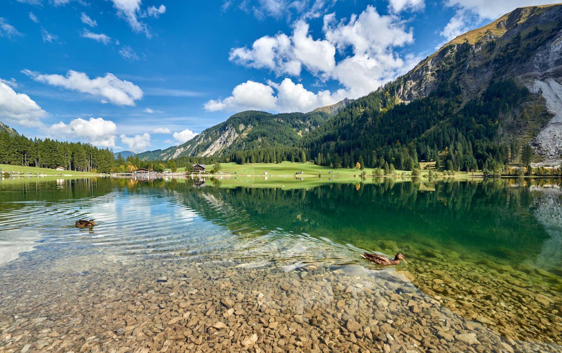 Panoramablick auf einen klaren Bergsee und blauem Himmel mit Wolken im Urlaub im Tannheimer Tal.